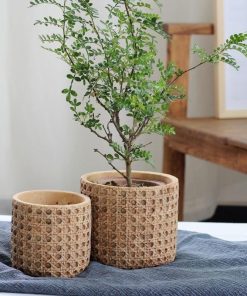 Natural Rattan Texture Cement Planter